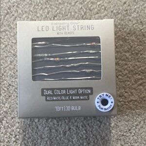 Everlasting Glow LED Light String with Remote